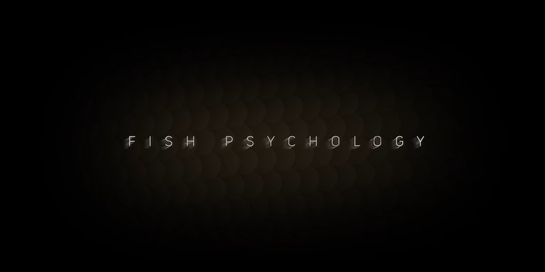 FISH PSYCHOLOGY. All episodes.